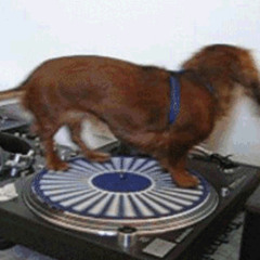 jim legxacy - stick (lucidbeatz remix)