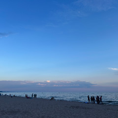 Fake plastic trees (sad boy cover)