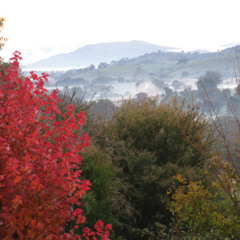 Sonata for Violin and Piano