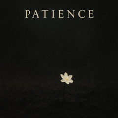 Patience (Contains AI Content)