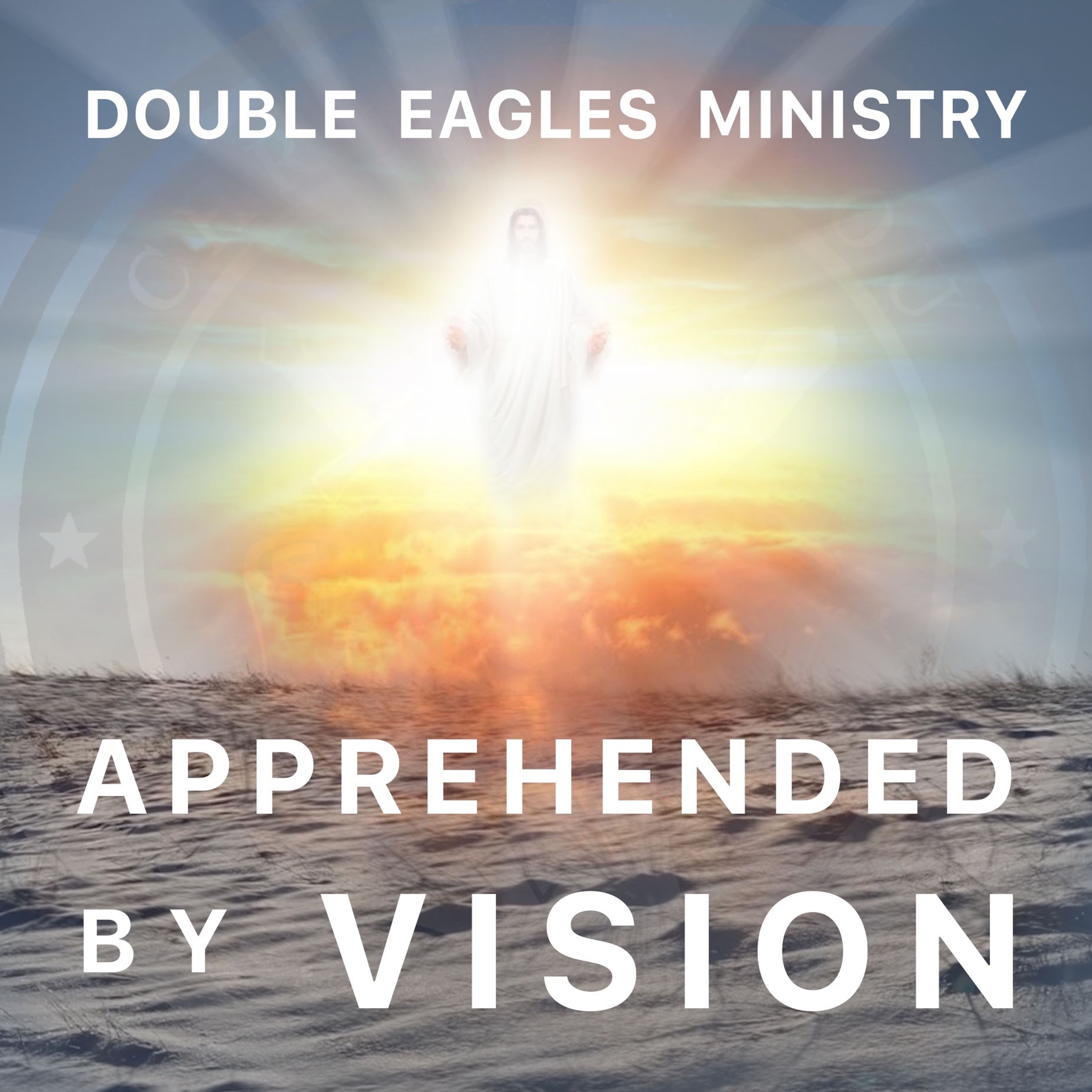 Apprehended By Vision episode artwork