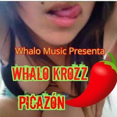 Whalo Krozz _ Picazón.mp3