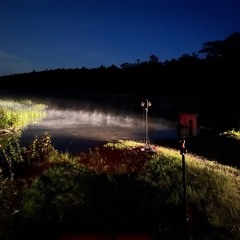 New England Pond, June 2021