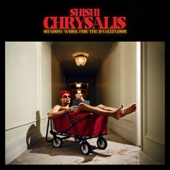 Looking For Yourself