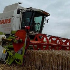 Half Oest Mix (beuk Edit)