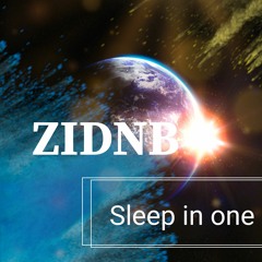 ZiDNB Sleep In One Breath 2023