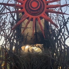 NULLTROPY - SUNRISE 2025 (PSY PROGRESSIVE)