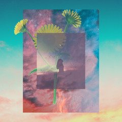 Long Way To The Top Jodi Doidge