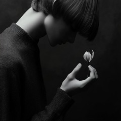 Tulipe