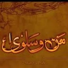 Zila Khan   Tere Ishq Mein -Man - 0-Salwa