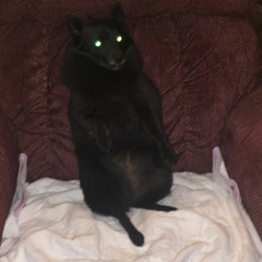 notifications on my phone