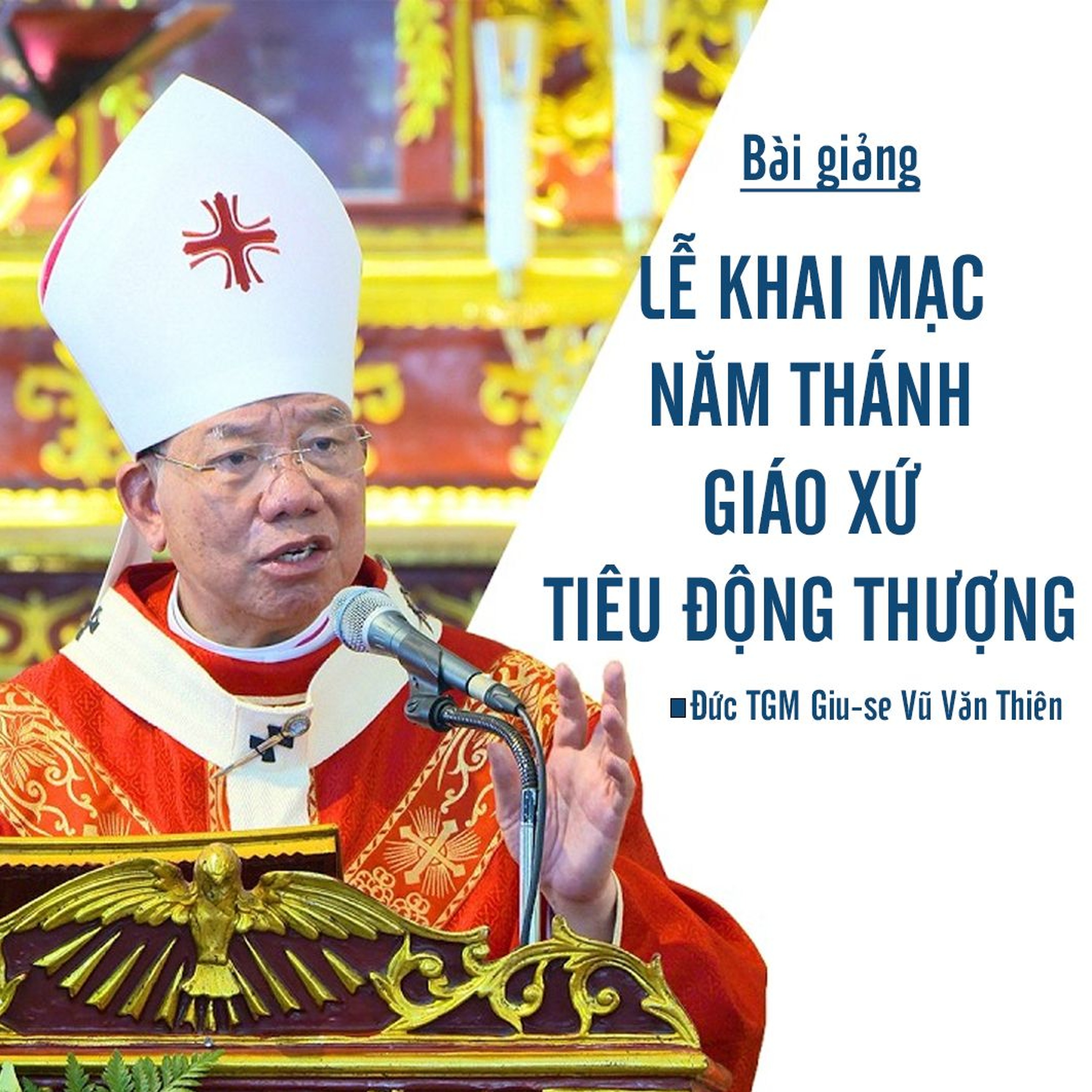 Bài giảng của Đức TGM Giu-se Vũ Văn Thiên trong Thánh lễ khai mạc Năm Thánh Giáo xứ Tiêu Động Thượng - YouTube episode artwork