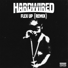 Flex Up (Hardwired Remix) *FREE DL*