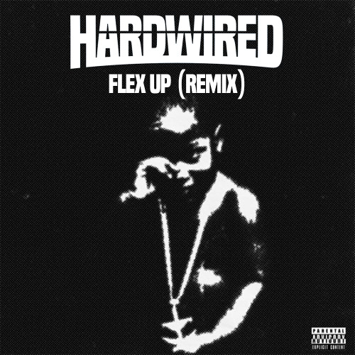 Flex Up (Hardwired Remix) *FREE DL*