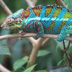 Techno to Acid      (Family Piknik's Outro)