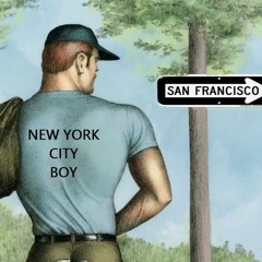 Pet Shop Boys Vs Village People New York City Boy In San Francisco A Butterfly Roof Mashup Remix