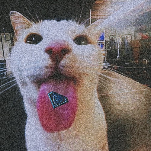 She Say She Love My Molly-𝐍Ø𝐘𝐀 (175 BPM)