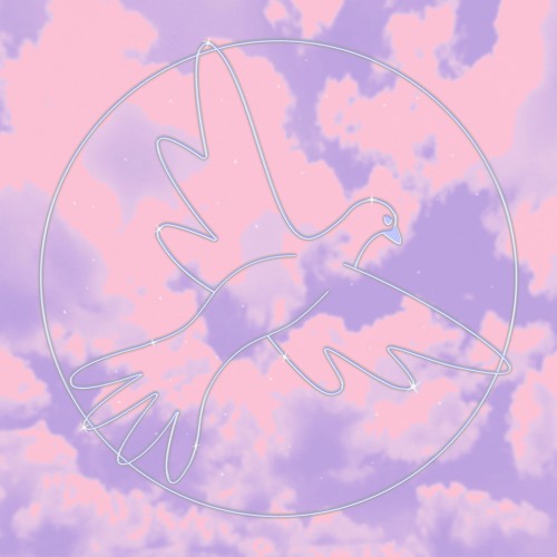 DJ Poolboi / Rarities Vol. 2 (Pink Vinyl) DJ Poolboi / Rarities Vol. 2 (Pink Vinyl)