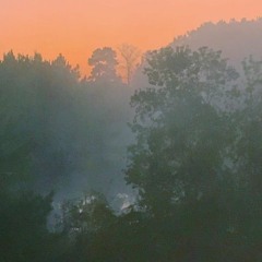 out all night alone, morning now and people are making noise again