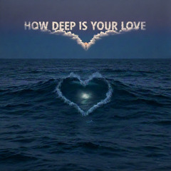 How Deep Is Your Love (Noah Remix)