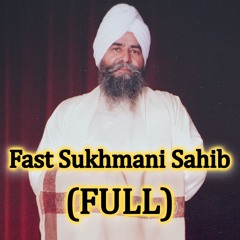Fast Sukhmani Sahib (FULL) - Sant Baba Bhagwan Singh Ji (Rara Sahib Begowal)