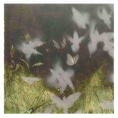 Distantes - Dariell Cano ft. ERRE