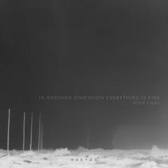 DT:Premiere | Piotr Figiel - Incident [RWETES]