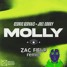 Cedric Gervais & Joel Corry - MOLLY (Zac Field remix)