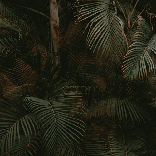#23 | 165BPM Jungle Mix | January