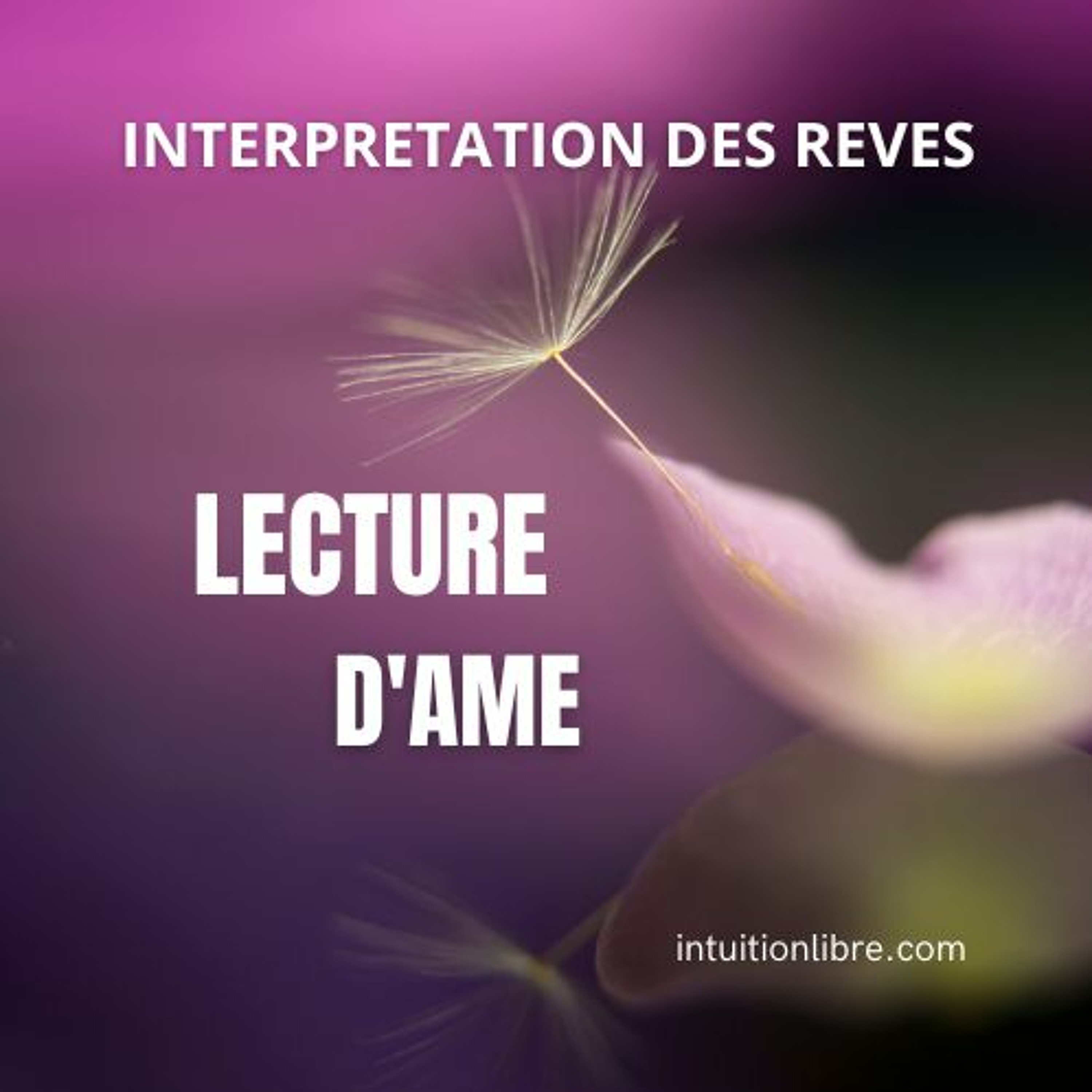 Le Mystère des Rêves Prémonitoires : Découvrez le Pouvoir des Rêves et Leurs Significations