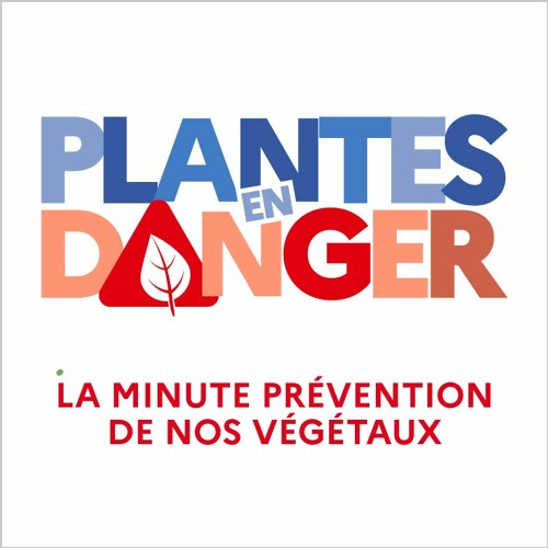 Message de prévention : plantes en danger
