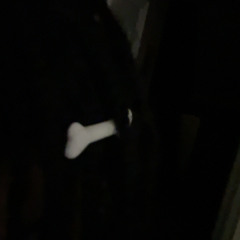 we can meet when we die