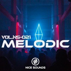 Melodic Deep | Vol-NS-021 - Deep House | Chill House | Music Mix