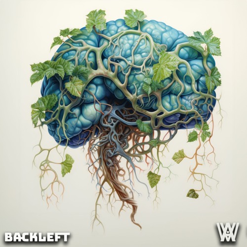 Amygdala - BackLeft