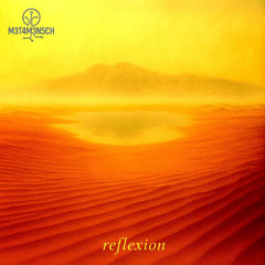 M3T4M3N5CH - Reflexion