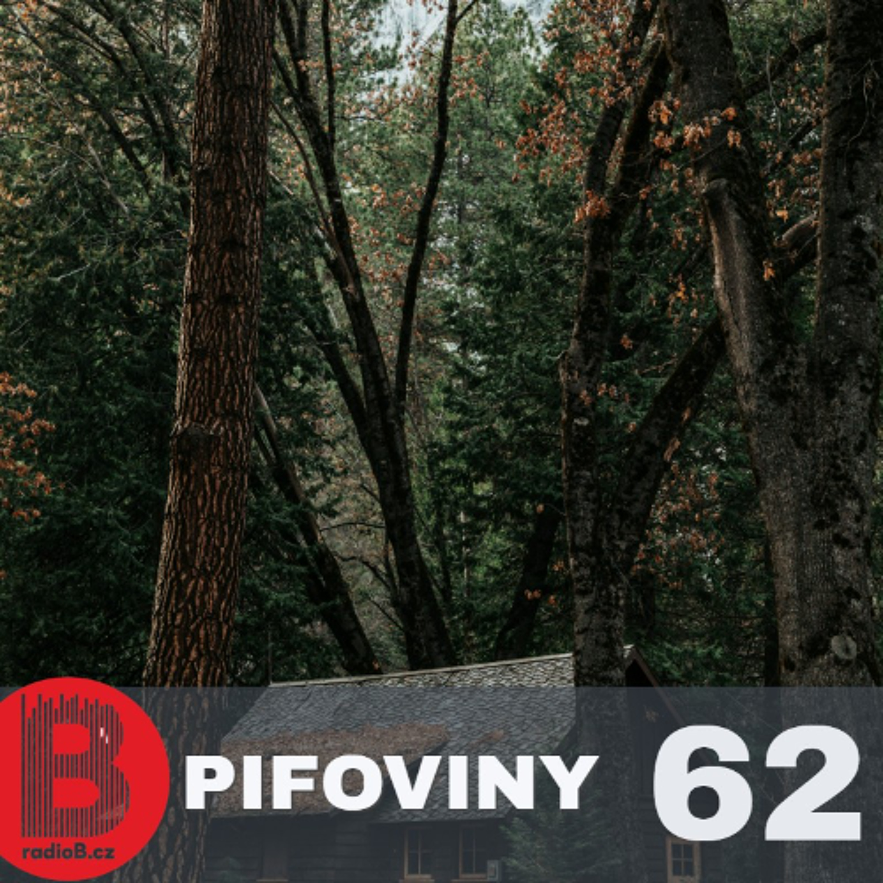 Pifoviny #62 Live from Pekelnej bar, 09/2024 episode artwork