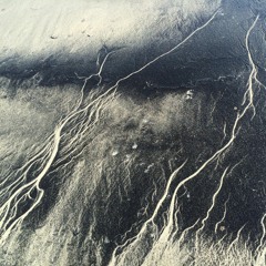 Onomastic Gymnastics (2019)