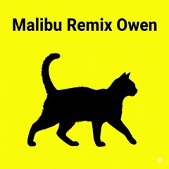 Malibu (Owen Remix)