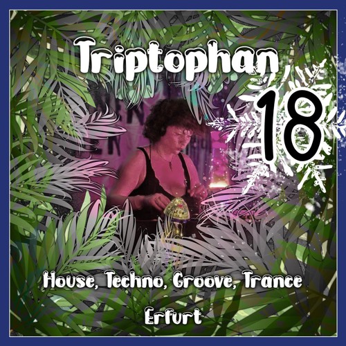 Triptophan Adventskalender 24