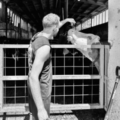 pi4o ja nespim / Live Exctracts