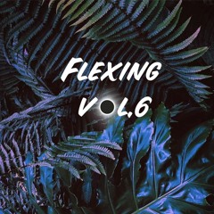 Flexing vol.6