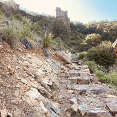 If We Will Fall On The Rock-Hurst, TX