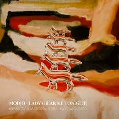 Lady (Hear Me Tonight) - Remix