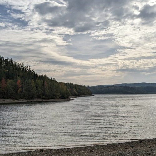 Kroiz & Kwer - Hear The Bear.mp3