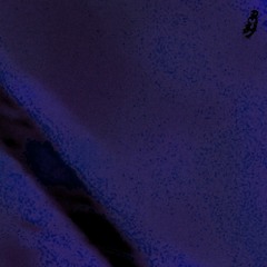 ih1h. (prod by. teamd🗡x nelly2k x ctr1s)