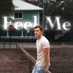 Feel Me (Selena Gomez Cover)