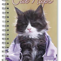 Get EBOOK 🖍️ 2021 Cat Naps 16-Month Weekly Planner by  Sellers Publishing &  Inc. KI