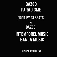 Bazoo - Paradigme