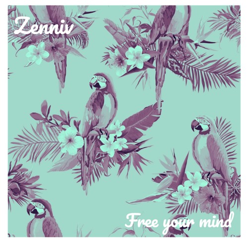 Premiere : Zenniv - Free Your Mind (Original Mix)