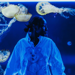 JELLYFISH